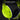 Razer Kaira X | Headset Gamer com Fio | Versão Xbox | Drivers TriForce 50mm | Amarelo - OctoShop