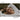 Sigma35mm F1.4 DG DN para Montagem L | Nitidez Incrível - OctoShop