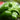 Nikon NIKKOR Z MC 105mm f/2.8 VR S Lente Macro Profissional | Nitidez Incrível - OctoShop