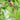 Nikon NIKKOR Z 600mm f/6.3 VR S Lente Super Teleobjetiva para Câmeras Mirrorless Z Series - OctoShop