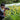 Nikon NIKKOR Z 100-400mm VR S Lente zoom premium para câmeras mirrorless Z - OctoShop
