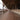 Lente Sigma 12-24mm f/4 DG HSM Art para Canon EF | Ultra Wide Angle - OctoShop