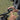 DJI Osmo Action 3 Standard Combo - OctoShop