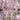 Sony SEL50F14Z | Lente Planar T* FE 50mm f/1.4 ZA | Alta qualidade de imagem | Preto - OctoShop