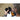 Sony Cyber-shot DSC-RX1R II Câmera Compacta de 42,4 MP com Lente Zeiss 35mm f/2 - OctoShop