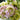 Tamron B018 18-200mm F/3.5-6.3 Di II VC meio quadro grande lente zoom anti-vibração retrato de paisagem de viagem em casa (Baioneta Nikon SLR) - OctoShop