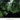 Lente TOKINA atx-i 11-20mm F2.8CF Half-frame | Canon Bayonet - OctoShop