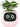 FloraBot™ | Vaso de Plantas com Inteligência Artificial | Rosa - OctoShop